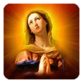 Virgin Mary Live Wallpaper icon