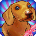 Virtual Dog 3D icon