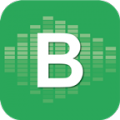 VK Music icon