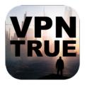 VPN TRUE icon