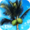 Castaway icon