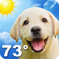 Weather Puppy icon