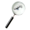 Web Spy icon