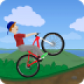 Wheelie Bike 1.73