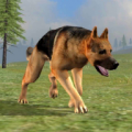 Wild Dog Survival Simulator 1.0