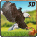 Wild Eagle Hunter Simulator 3D icon