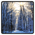 Winter Wallpaper icon