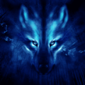 Wolf night icon