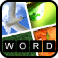 Word Reminder icon