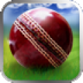 WorldCupCricket 15.0