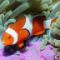 Underwater World icon