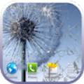 Crack Screen icon