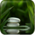 Zen Wallpaper icon