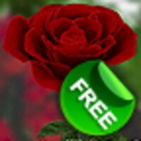 3D Rose Live Wallpaper Free 5.9