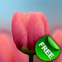 3D Tulip Free 2.1