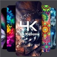 4k Wallpapers & Live Changer icon