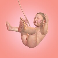 9 Months icon