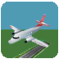 Airport Craziness icon