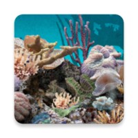 3D Aquarium Live Wallpaper