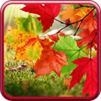 Autumn Live Wallpaper icon