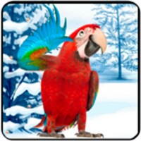 Amazing Parrot icon