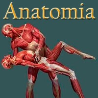 Anatomia humana gratis en Español icon