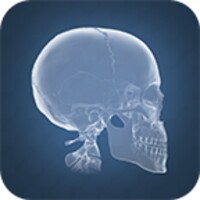 Anatomy 4D icon