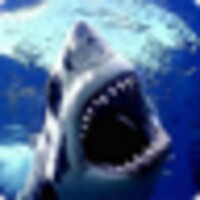 Shark icon