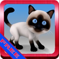 Angry Kitten icon