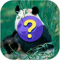 Animal Games icon