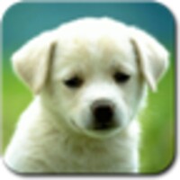 Animal Sounds & Ringtones icon