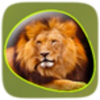 Animals 360 icon