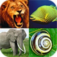 Animals Encyclopedia icon