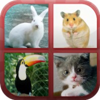 Animals Quiz icon