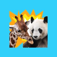 AnimalTower Battle icon