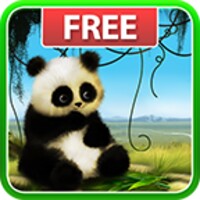 Animated Panda Live Wallpaper icon