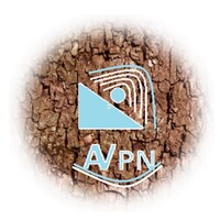 Anonimous VPN icon