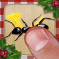 -Ant Xmas- 1.56