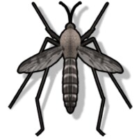 Anti Mosquito Sound Prank 6.5