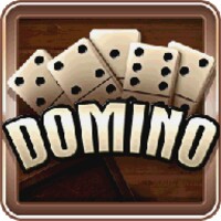 Domino 3.3.4