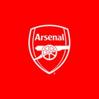 Arsenal 1.3.8