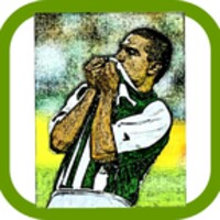 Atlético Nacional icon