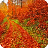 Autumn Landscape Wallpaper icon