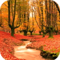 Autumn Wallpaper HD icon