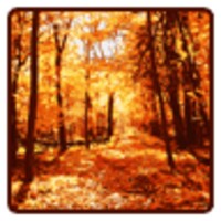 Autumn Wallpaper icon