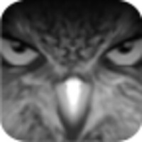 EagleEyes Lite icon