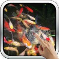 Baby-Koi:Water Effect 8.0