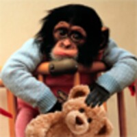 Baby Monkey Free icon