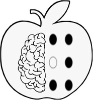 BarkiBraille icon