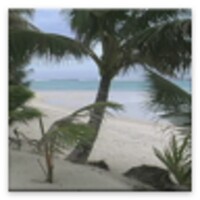 Beach Rain Sounds icon